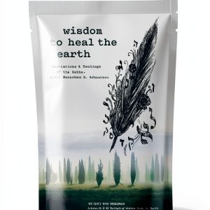 Ezra Press Orthodox Judaism Kindle Book Hasidism English-0