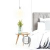 JACKYLED 15ft Extension Hanging Lantern Cord Cable UL 360W with-5