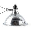 Clamp Lamp Light Simple Deluxe 8.5 inch Aluminum Reflector 6ft Cord-2