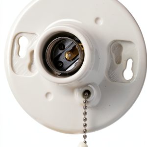 Leviton One-Piece Glazed Porcelain Outlet Box Mount, Incandescent Lampholder, Pull Chain, 29816-C, White-0
