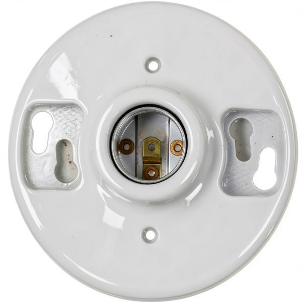 Leviton One-Piece Glazed Porcelain Outlet Box Mount, Aluminum, 49875, White-0
